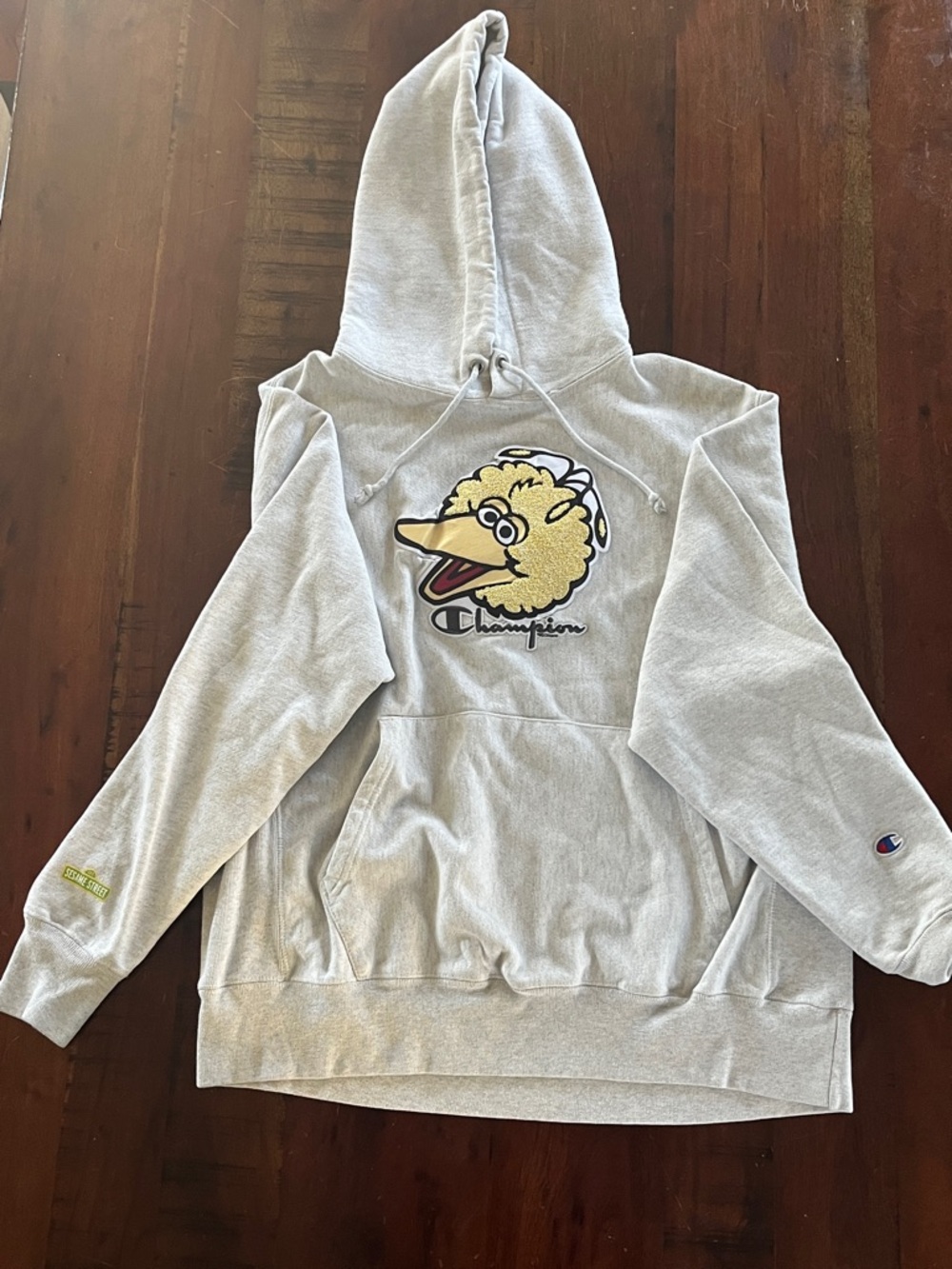 Big bird champion hoodie